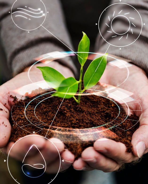 Birmon Trading Group Ltd