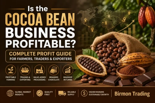 Is the Cocoa Bean Business Profitable? Complete Profit Guide for Farmers, Traders & Exporters