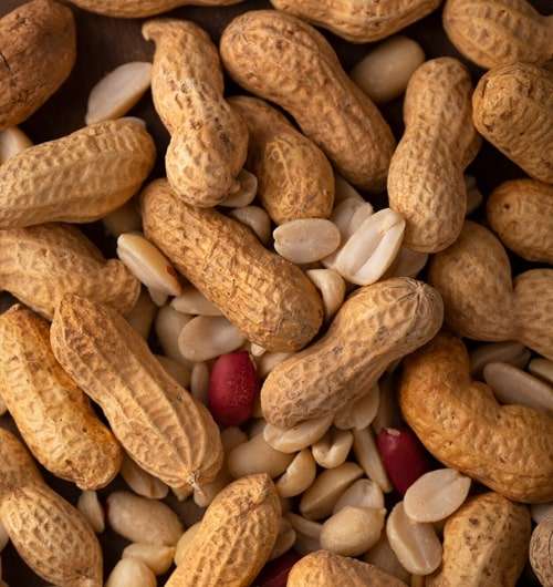 Building Global Partnerships Through Trust and Quality