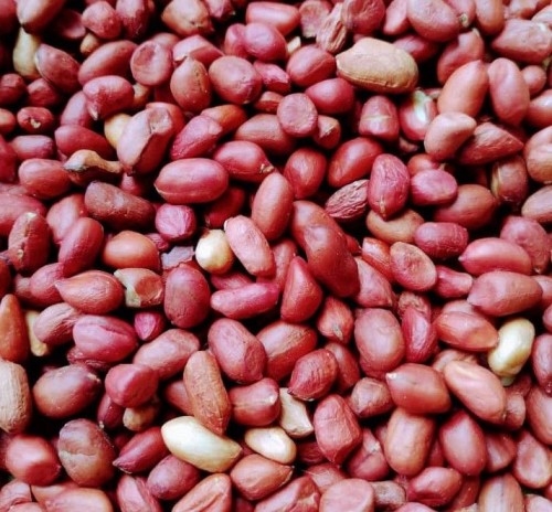 Peanut - Java or bold