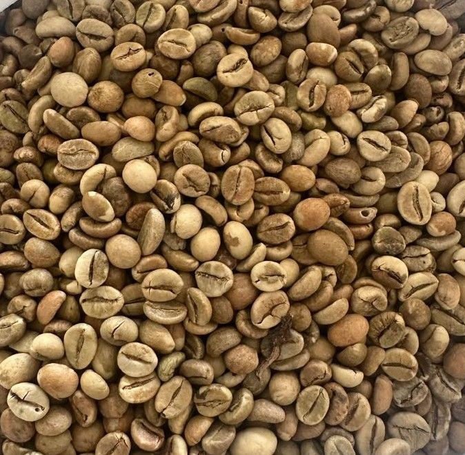 Robusta Coffee Beans