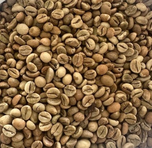 Robusta Coffee Beans