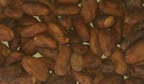 cocoa beans