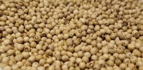 Cameroon Black and White