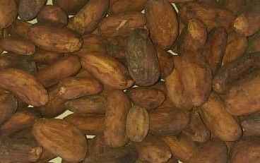cocoa beans