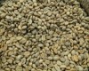 Arabica Coffee Bean