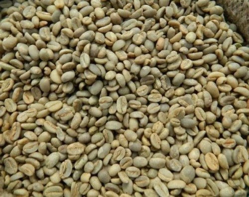 Arabica Coffee Bean
