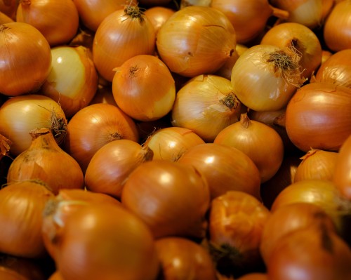 Red and Yellow Onion